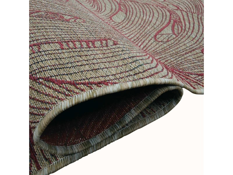  Tapis extérieur intérieur beige bordeaux motif feuillage 160x230  - Conforama D