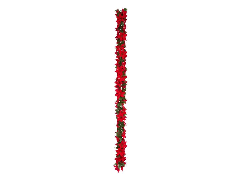  Gdn plast poinsettia 180cm  - Conforama C
