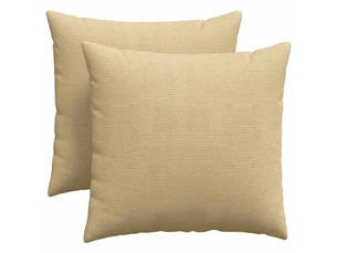 Lot de 2 coussins de canapé, coussins décoratifs vert gris 45 x 45 cm cf59201