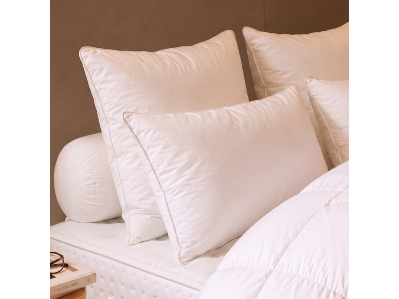  Dodo - oreiller 50x70 thermoduv canard - 90% duvet - medium  - Conforama B