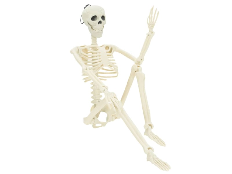 Squelette d'halloween 2 pc blanc 85 cm pvc cf61974 - Conforama A