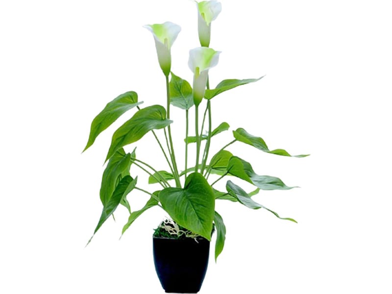  Fleurs artificielles décoratives pour salon, fleurs en plastique, plantes en pot artificielles, ornements, fausses fleurs  - Conforama A