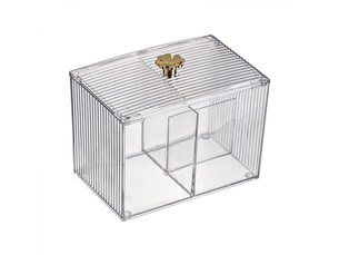 Boîte de rangement pour cotons-tiges, distributeur de cotons-tiges de salle de bain, boîte divisée pour cotons-tiges