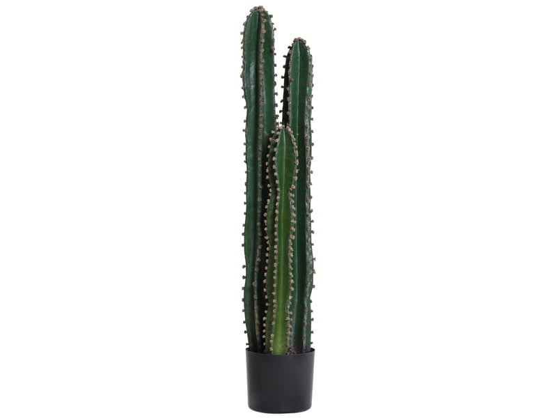  Cactus artificiel grand réalisme plante artificielle grande taille dim. Ø 17 x 98h cm vert  - Conforama B