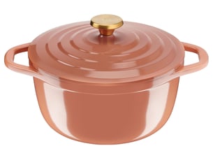 Cocotte tous feux y compris induction 2