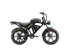 Vélo électrique fat bike robuste sinohon mk20-d, 20 pouces tout-terrain, noir