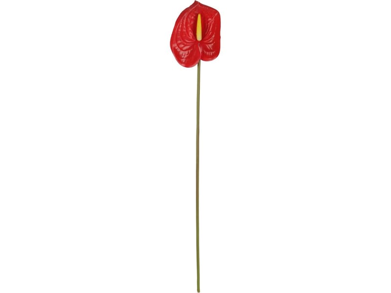  Simulation 3d d'un aménagement de salon avec des fleurs d'anthurium et un bouquet de fleurs flamant rose  - Conforama E
