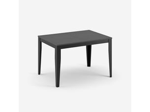 Table de salle à manger extensible avec pieds noirs 156316x90 moon - gris
