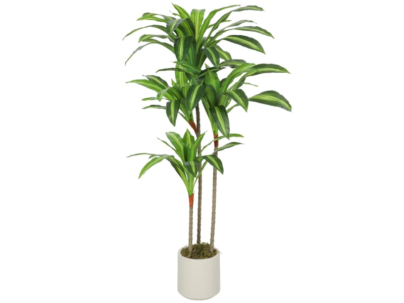 Plante artificielle dracaena avec tronc flexible sans entretien en plastique vert et pot blanc 60 × 40 × 120 cm - Conforama A