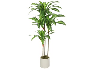 Plante artificielle dracaena avec tronc flexible sans entretien en plastique vert et pot blanc 60 × 40 × 120 cm