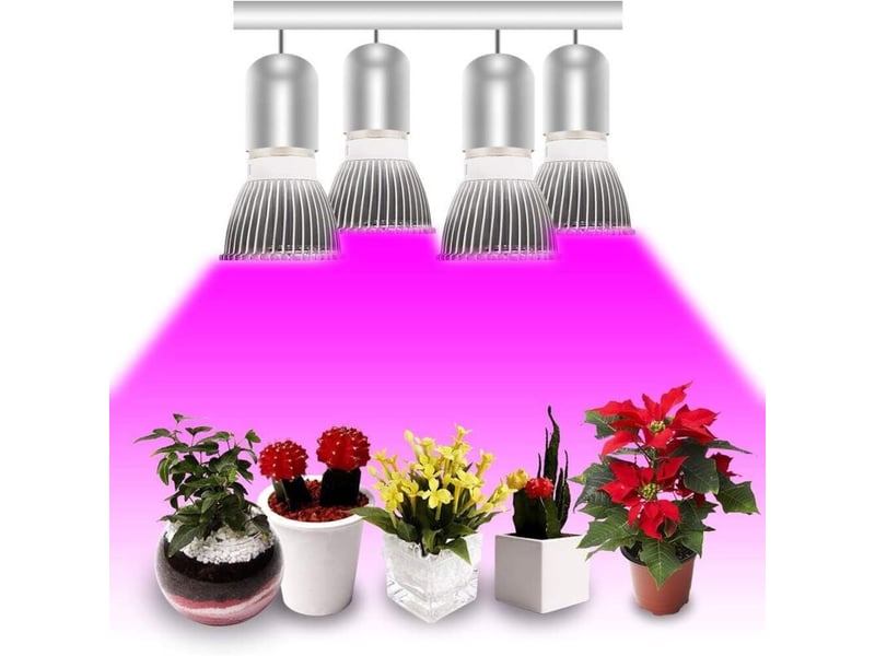  Ampoule de plante e27 28w spectre complet pour plantes intérieur lot de 4  - Conforama B