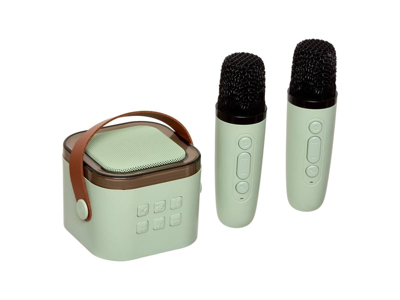  Set karaoké kara avec enceinte portable et 2 micros vert KARA - Conforama A