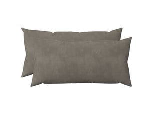 Lot de 2 coussins avec oreiller, coussins décoratifs heerlen gris clair velours cf50477