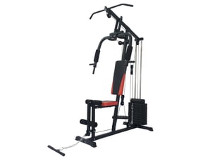 Station de musculation complète Total Body Station 100