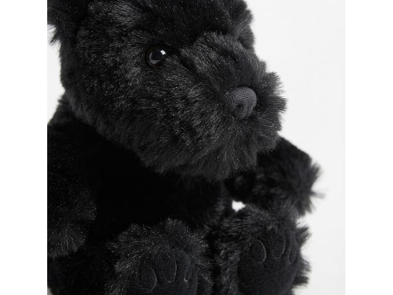  Bouillotte peluche chien anglais lavande et blé  - Conforama C