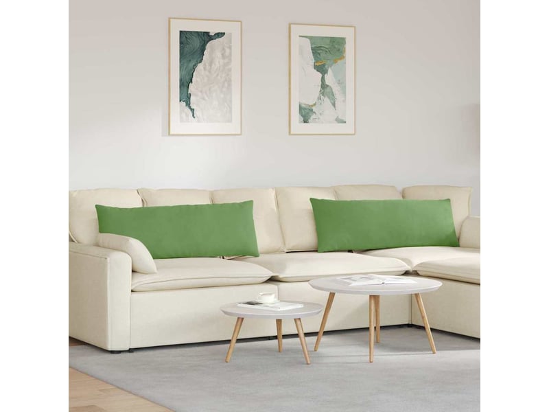  Lot de 2 coussins de canapé, coussins décoratifs vert clair 120 x 40 cm cf59166  - Conforama B