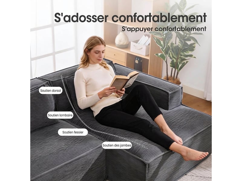  Canapé compact 235 cm 2 places gris - assise souple à ressorts ensachés avec 2 coussins  - Conforama R