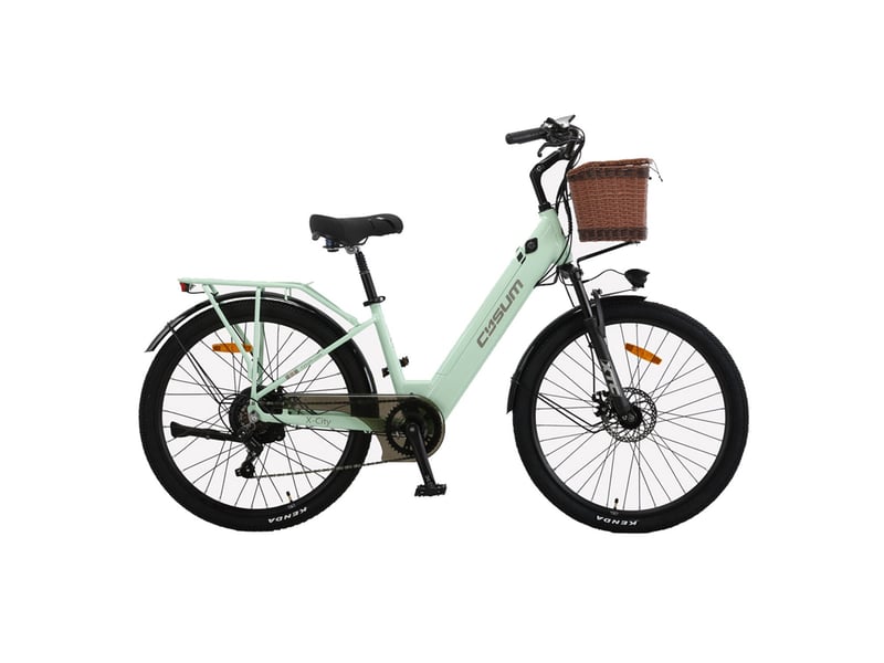  Vélo électrique de ville cysum x-city, 250 w, batterie 48 v 10.4 ah, vert X-City - Conforama B
