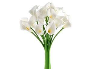 Fleur artificielle calla lily - hauteur 34 cm - tige en fil acier flexible - décoration intérieure bureau mariage événement - lot de 10