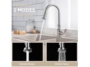 Douchette de rechange pour évier de cuisine, accessoires de robinetterie, réglage du débit et du jet d'eau, nickel brossé, 1 pièce