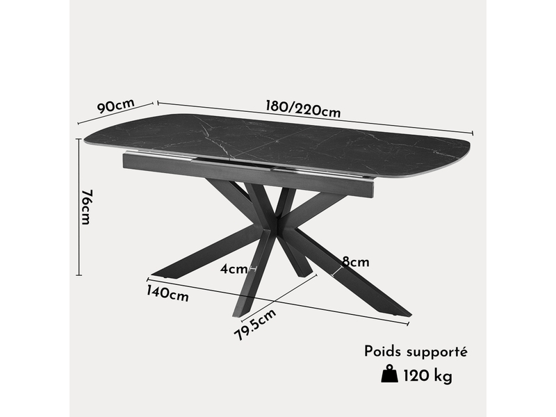 Hestia - table extensible rectangulaire en pierre frittée noir pieds en métal noir 180-220 cm HESTIA-NOI - Conforama E