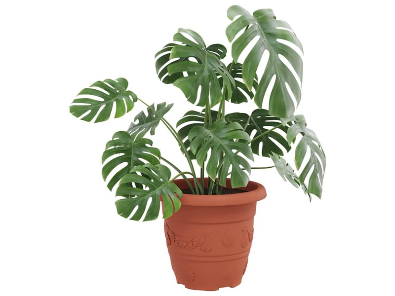  Jardinière - pot à fleurs rond 6 pcs rouge brique ø 30 x 25 cm plastique  - Conforama C