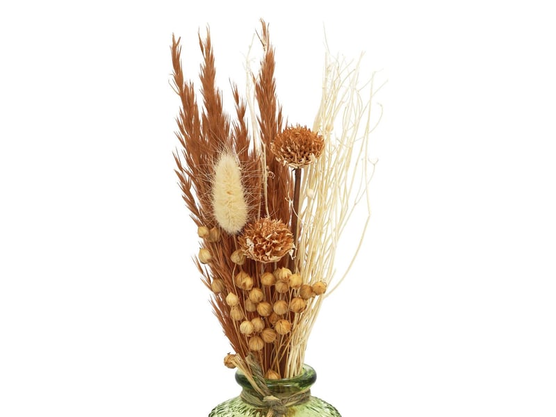 Composition fleurs séchées wisa h.26cm WISA - Conforama C