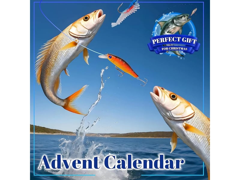  Calendrier de l’avent pêche 2026, 24 jours de leurres et accessoires, cadeau de noël pour homme, pêcheur et ado  - Conforama E