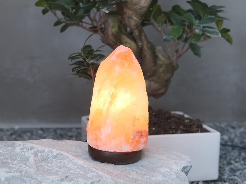  Lampe de sel de l'himalaya naturelle - unique faite à la main 5-6inch  - Conforama C