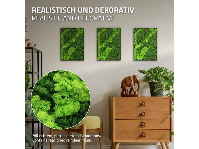  Ecd germany tableau en mousse de renne stabilisée véritable, rectangulaire, 38x27 cm, vert, décoration murale végétale d'intérieur, cadre en bois, sans arrosage ni entretien, effet 3d, pièce unique ECD Germany GmbH - Conforama C