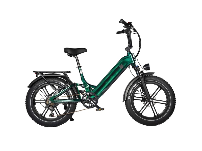  Maxtron camel vélo électrique fat bike 20 po, batterie 48v 18ah, vert  - Conforama B