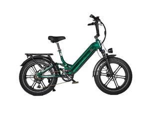 Maxtron camel vélo électrique fat bike 20 po, batterie 48v 18ah, vert