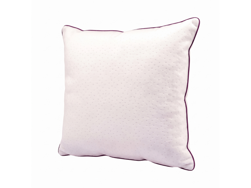  Oreiller blanc 100% plume de canard - 60 x 60 cm - housse bonne fête - collection blanc C07-ORP04 60/60 - Conforama A