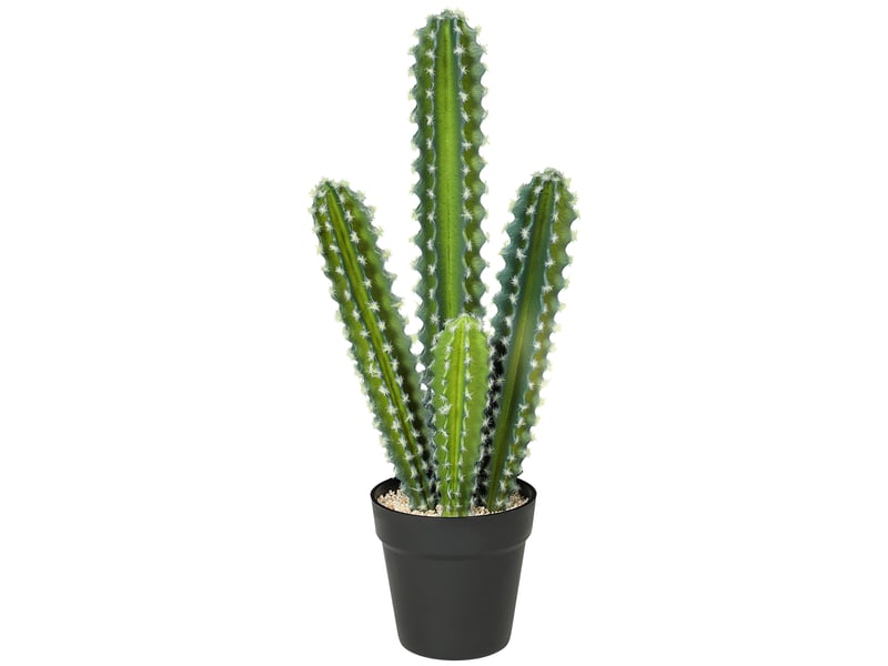  Cactus artificiel, 53 cm, plante artificielle en pot pour la maison ou le bureau  - Conforama A