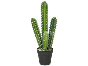 Cactus artificiel, 53 cm, plante artificielle en pot pour la maison ou le bureau