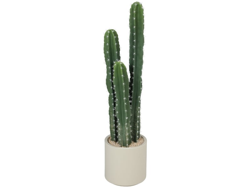  Plante artificielle cactus 95 cm avec pot décoratif vert  - Conforama A
