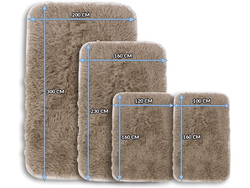  Tapis de salon à poils longs 100 x 160 cm - salon, chambre  - Conforama E