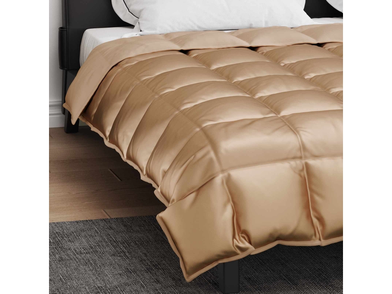  Duvet d'hiver - couette 220 x 260 cm 450 gm² doré  - Conforama D