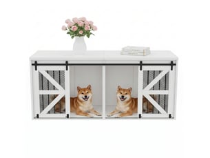Meuble tv coloris blanc 160 cm EVRYAE   