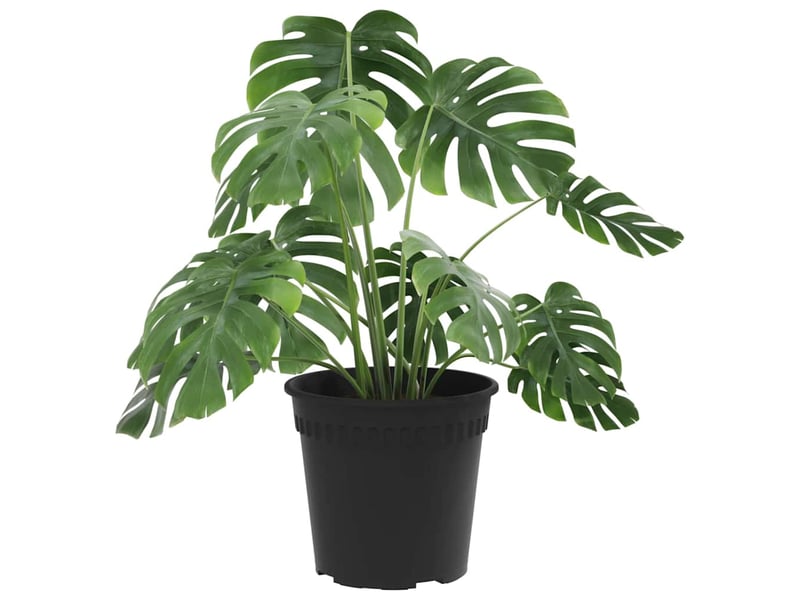 Jardinière - pot à fleurs rond 24 pcs noir ø 19 x 16,5 cm plastique - Conforama C