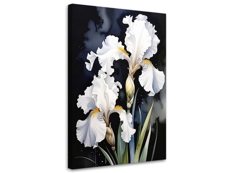 Tableaux, iris blancs fleurs plantes nature 20x30 1312615440 - Conforama A