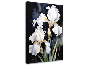 Tableaux, iris blancs fleurs plantes nature 20x30
