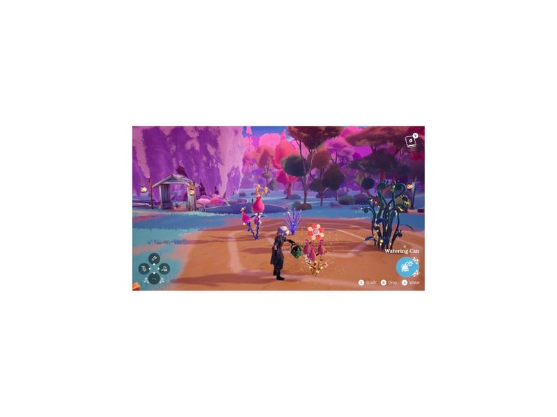  Wanderstop gestion atelier de thé nintendo switch 2 edition standard AACZC55152 - Conforama E