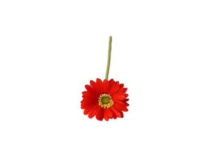 Gerbera jamesonii artificiel avec tige, fleur en soie réaliste, centre de table pour la maison ou le bureau, branche de fleur artificielle, décoration floralerouge