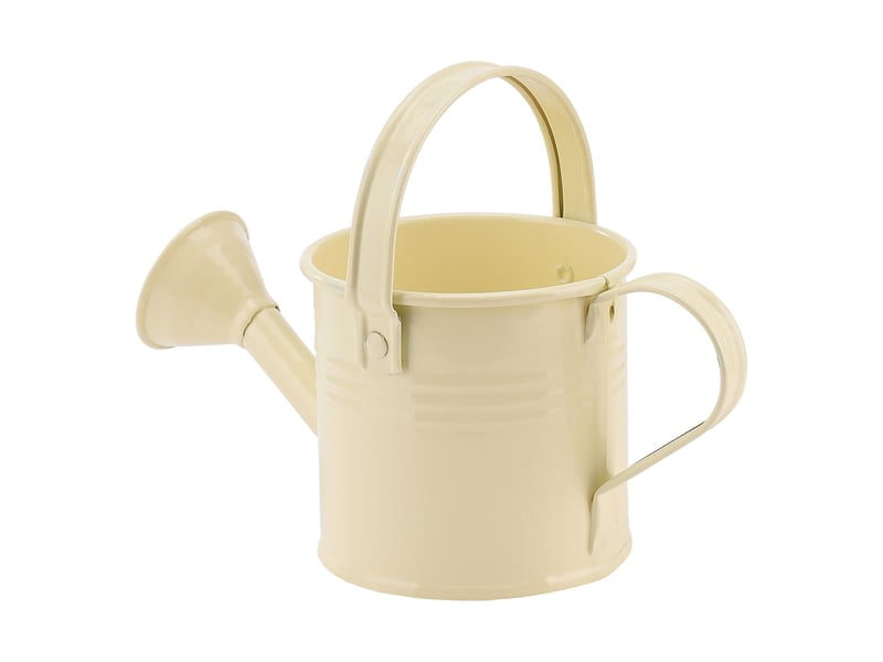  Mini boîte d'arrosage en métal, beige, portable avec poignée, pulvérisateur de jardin  - Conforama A