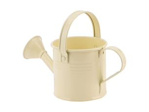 Mini boîte d'arrosage en métal, beige, portable avec poignée, pulvérisateur de jardin