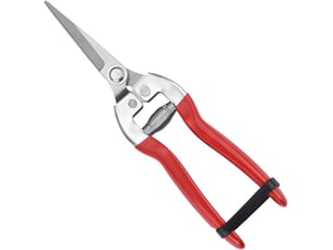 Sécateur, ciseaux tout usage, sécateur outil de coupe, adapté à la taille des branches dans le jardin et à la taille des fleurs(rouge)