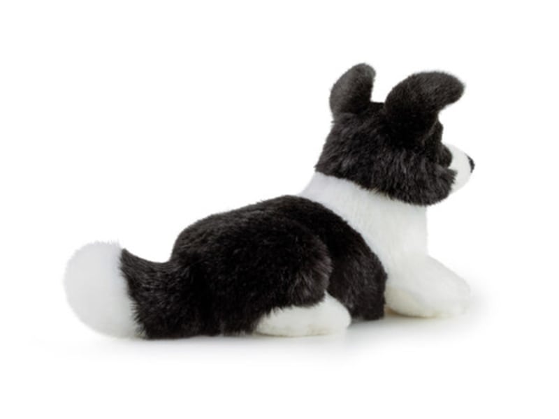  Peluche chien scott le border collie TUDN7000 - Conforama C
