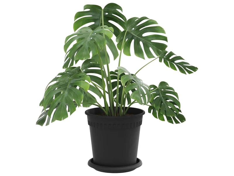  Jardinière - pots de plantes 24 pcs noir plastique  - Conforama C