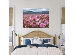 Tableau décoration murale impression sur toile fleurs champs rose - 60x40 cm - tableau décoration murale chambre et salon